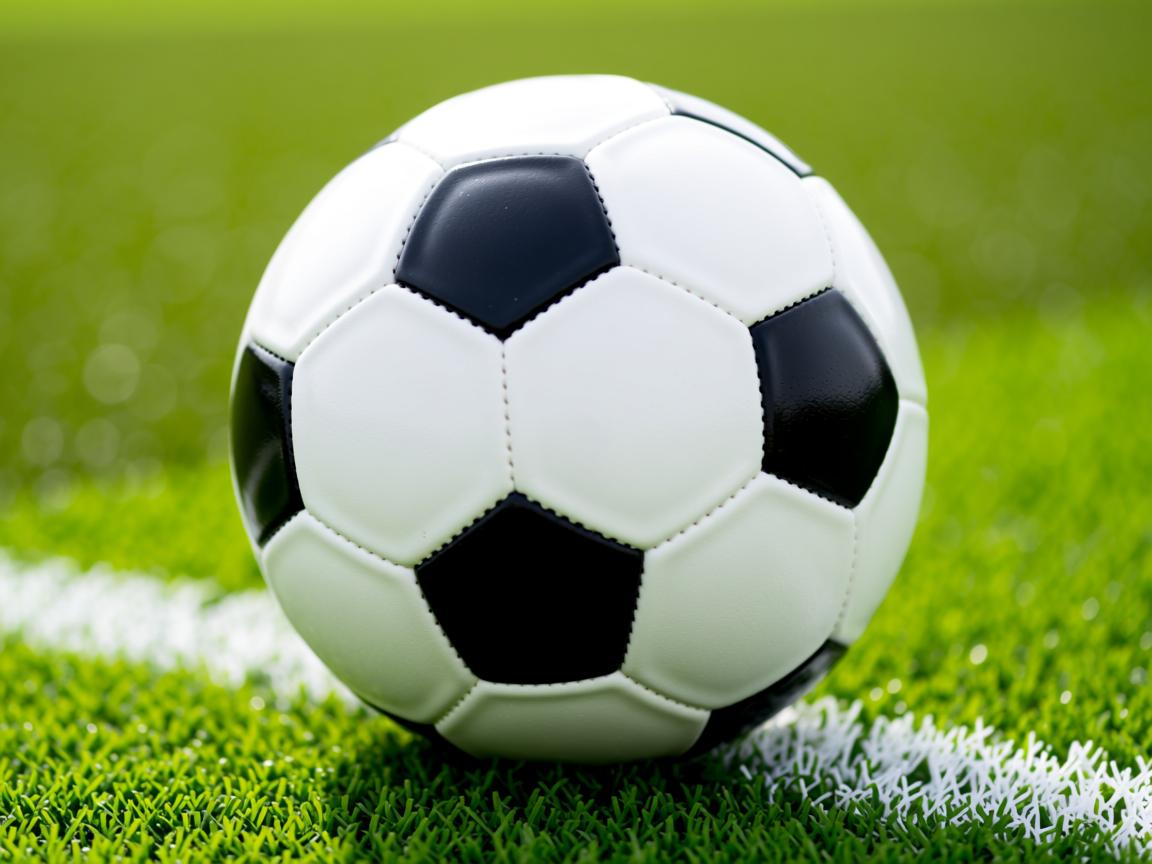 爱游戏app推荐-美澳选手高频换气与高强度并存