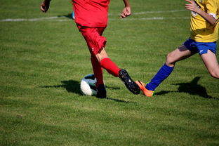 爱游戏app-五大联赛是否推动球员通过站位节奏学习适应战术切换，五大联赛地位  第2张